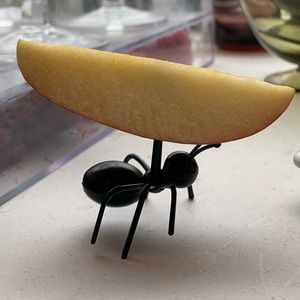 Set of 6 Ant Party picks